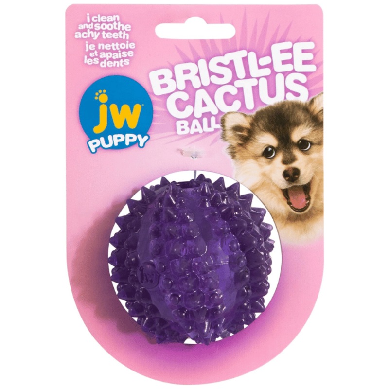 Jouet interactif pour chiot Balle cactus JW Bristl-ee