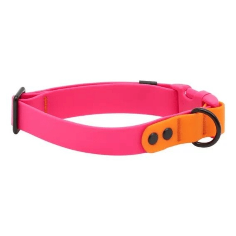 Collier impermable pour chiens Rc Pets Azalea/Orange