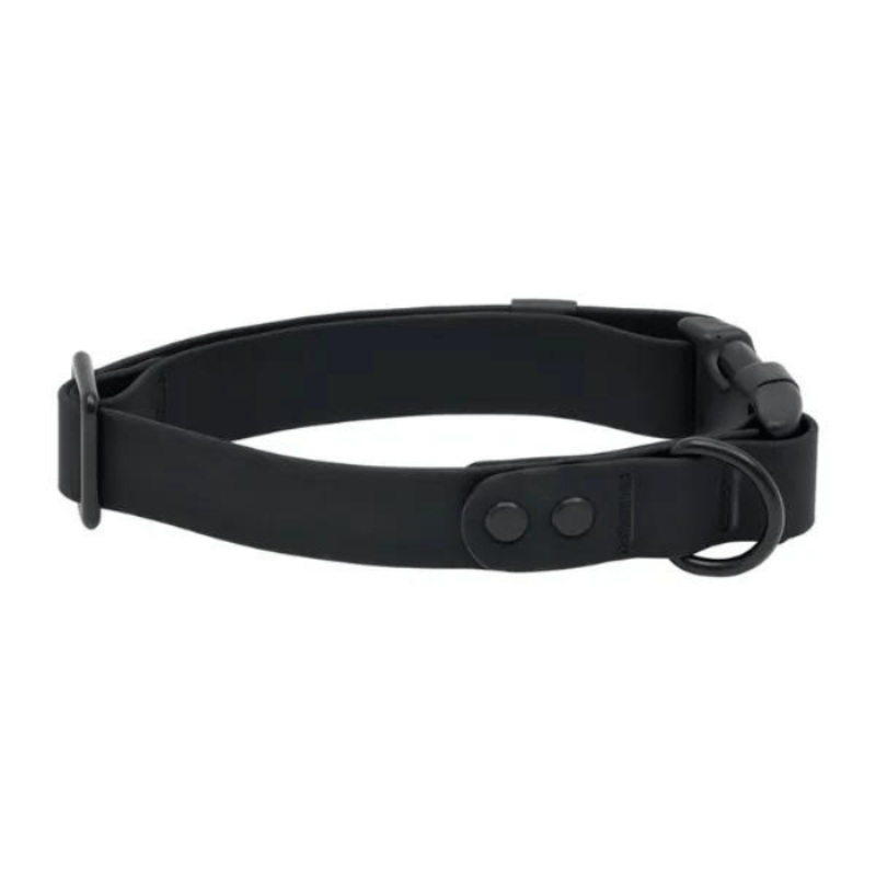 Collier impermable pour chiens Rc Pets Noir