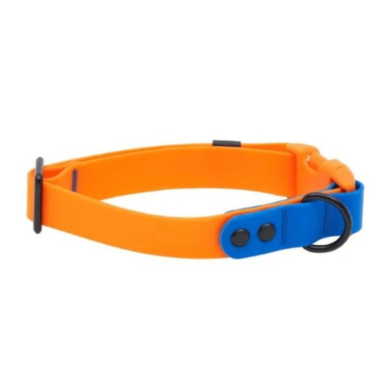 Collier impermable pour chiens Rc Pets Orange/Saphire