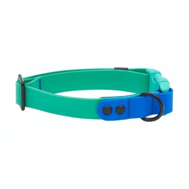 Collier impermable pour chiens Rc Pets Parakeet/Saphire