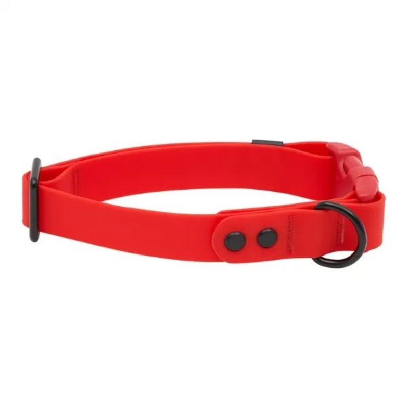 Collier impermable pour chiens Rc Pets Rouge
