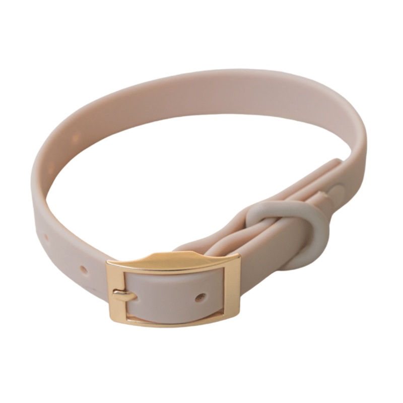 Dexypaws Collier Impermable Pour Chien, Couleur Beige