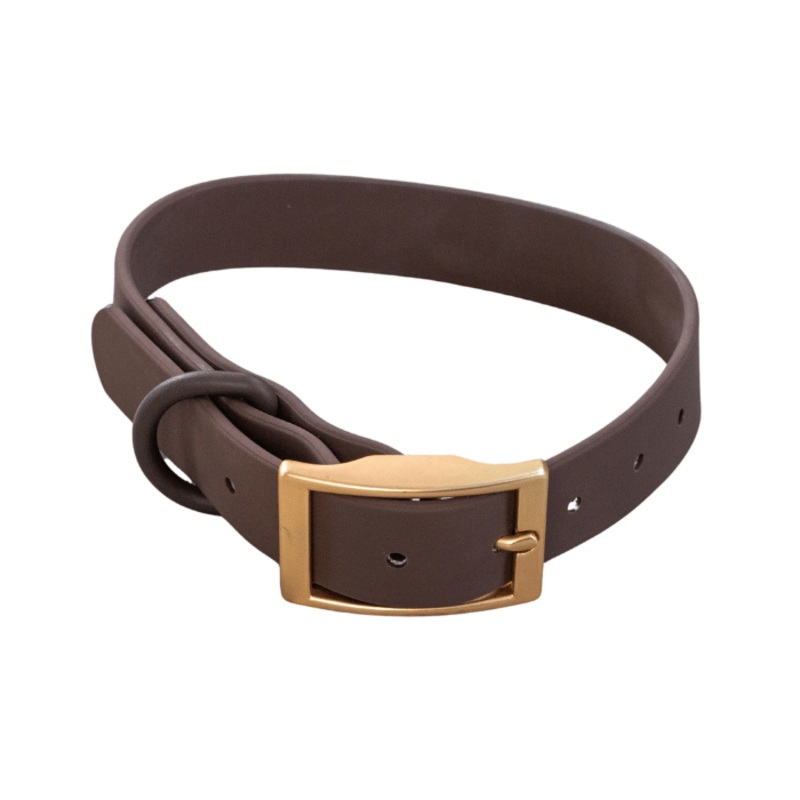 Dexypaws Collier Impermable Pour Chien, Couleur Espresso