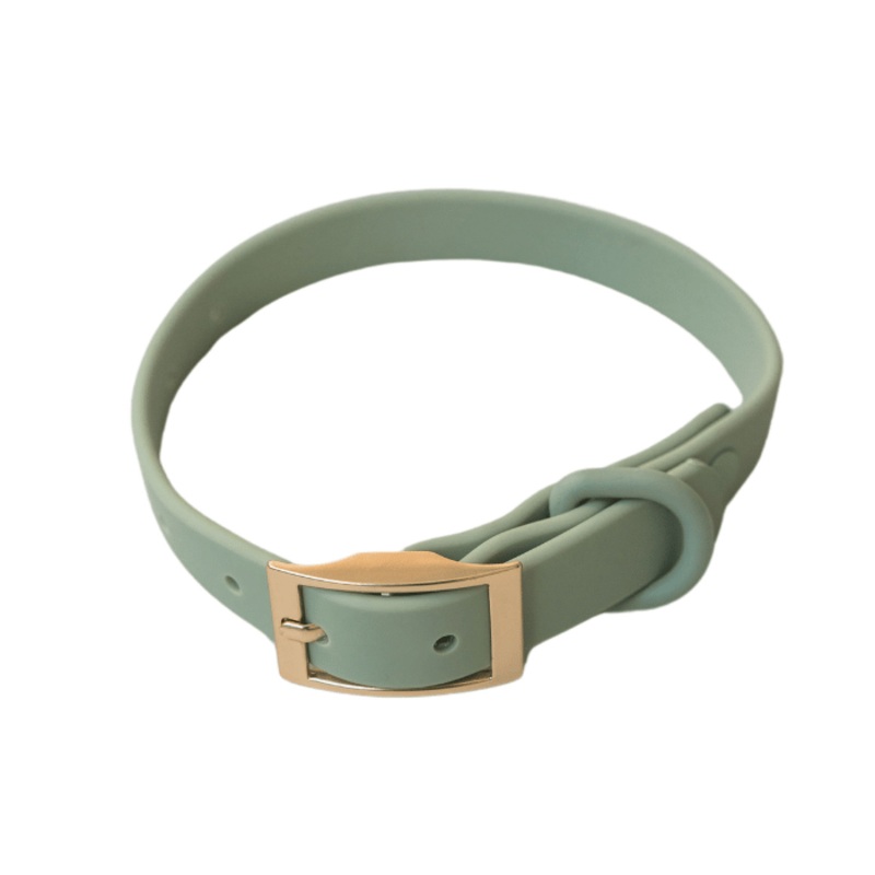 Dexypaws Collier Impermable Pour Chien, Couleur Vert Sauge