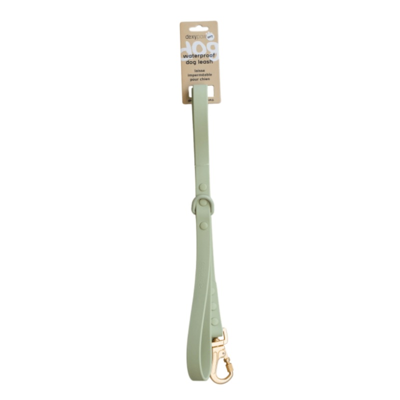 Dexypaws Laisse Impermable Pour Chien, Couleur Vert Sauge