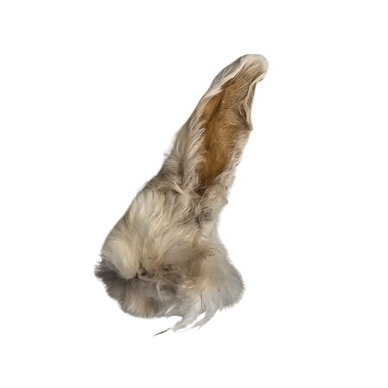 Oreille de lapin