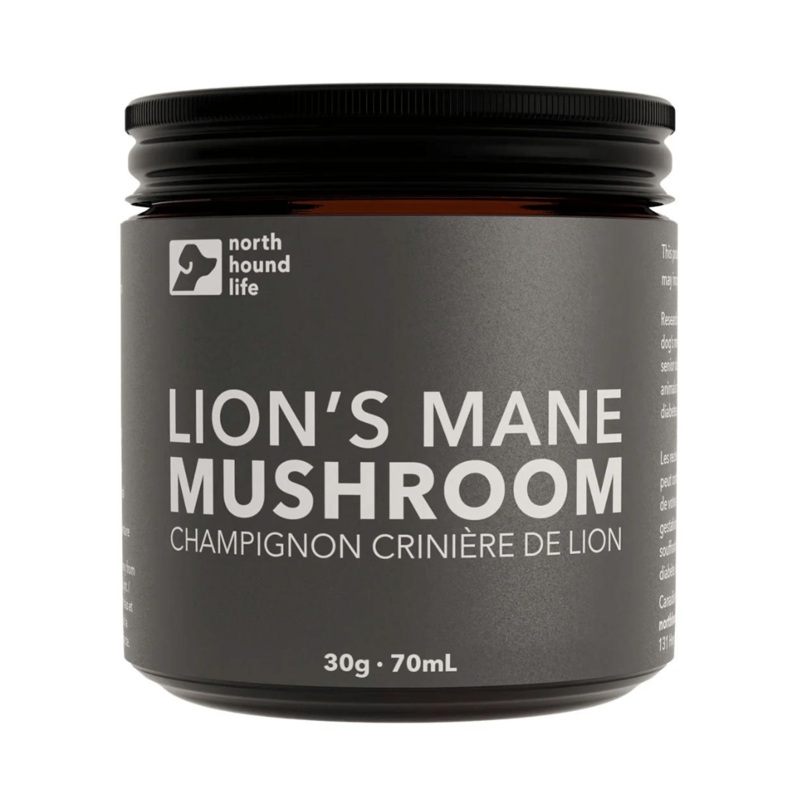 Champignon crinire de lion