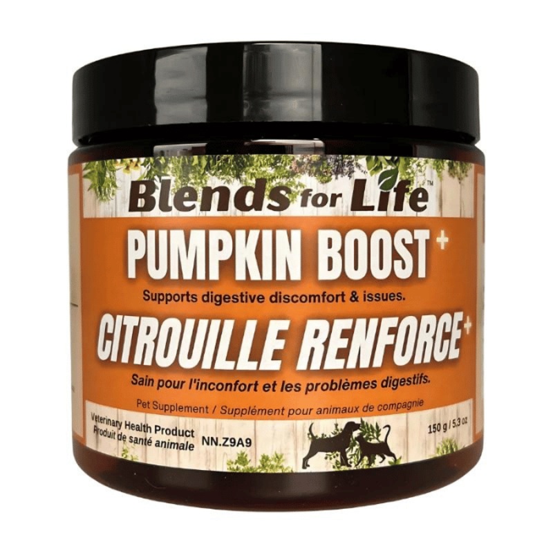 Citrouille Renforce+ 150g