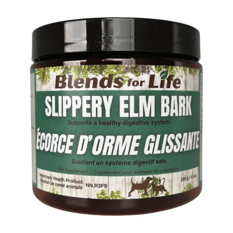 corce d'orme glissante 100g