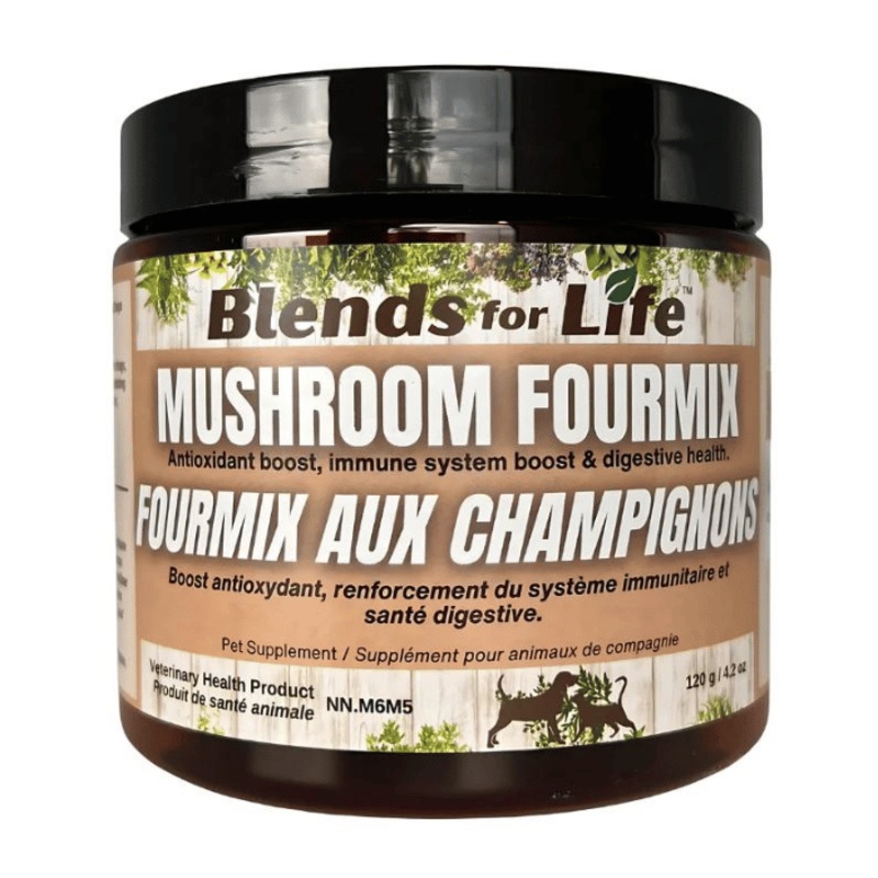 Fourmix aux champignons 120g