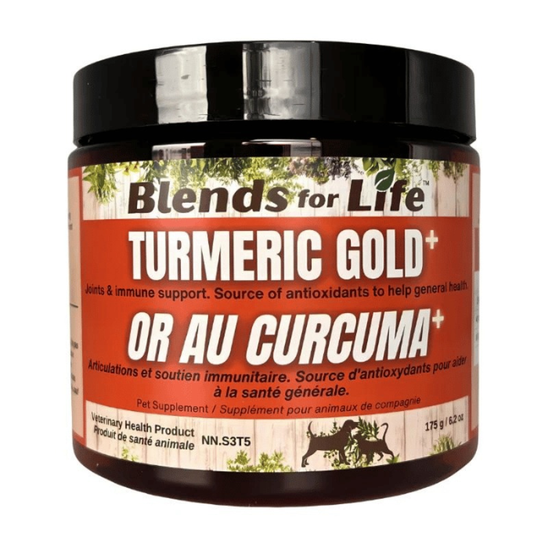 Or au curcuma+ 175g