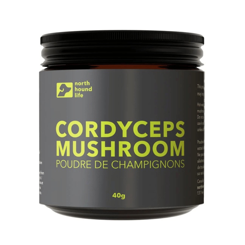 Poudre de champignons Cordyceps 40g