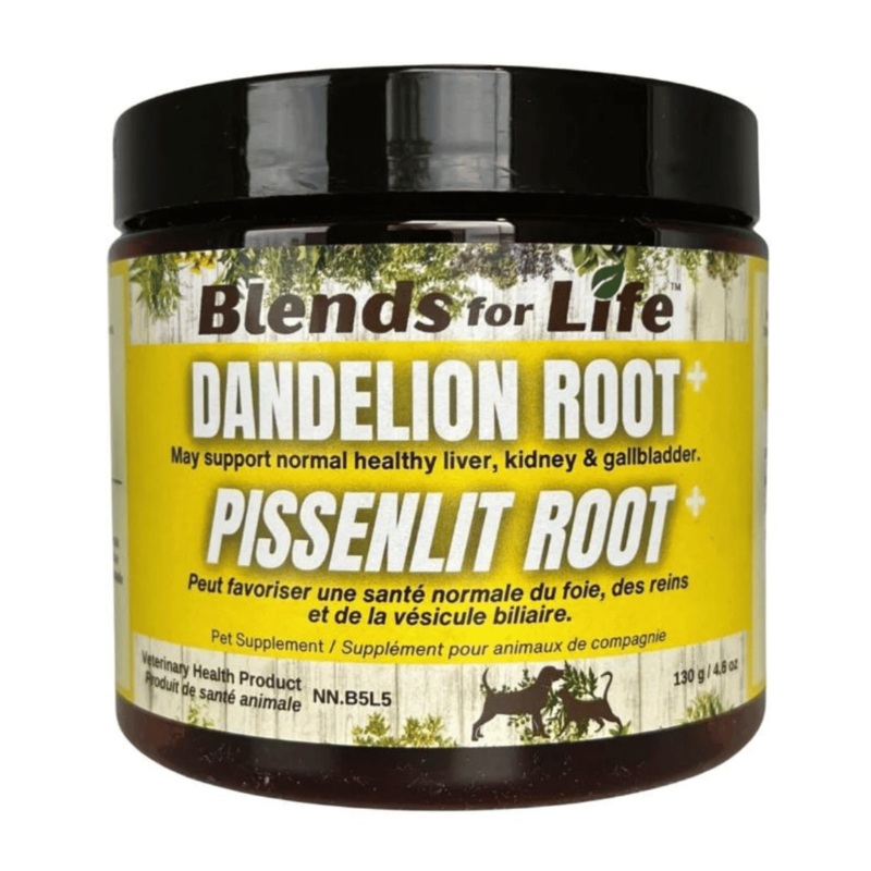 Racine de pissenlit 130g