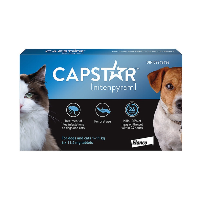 Traitement anti-puce oral pour petits chiens et chats