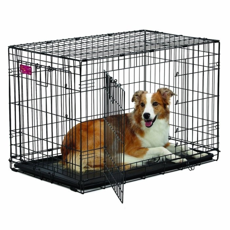 Cage Midwest 36'' Pour Chien De 70 lbs et moins