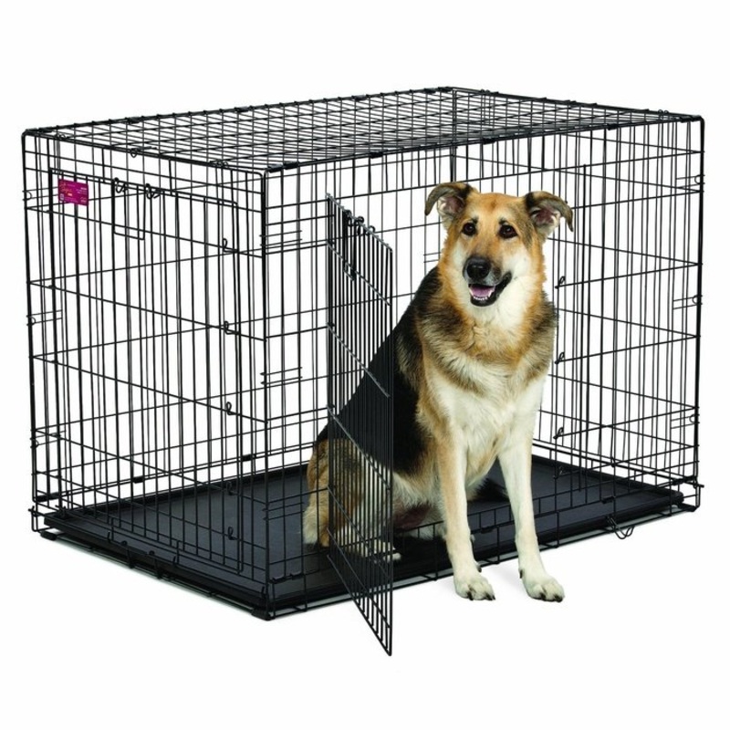 Cage Midwest 42'' Pour Chien De 90 lbs et moins