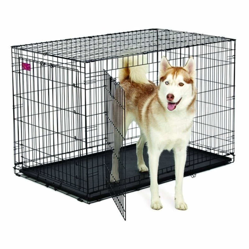 Cage Midwest 48'' Pour Gros Chien De 110 lbs et moins