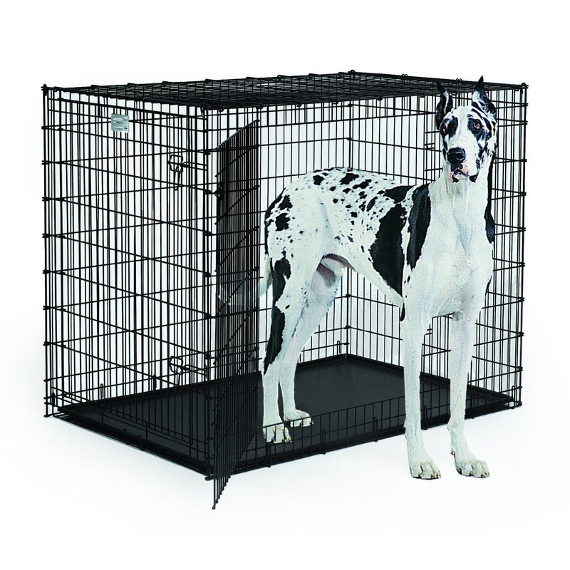 Cage Midwest 54''