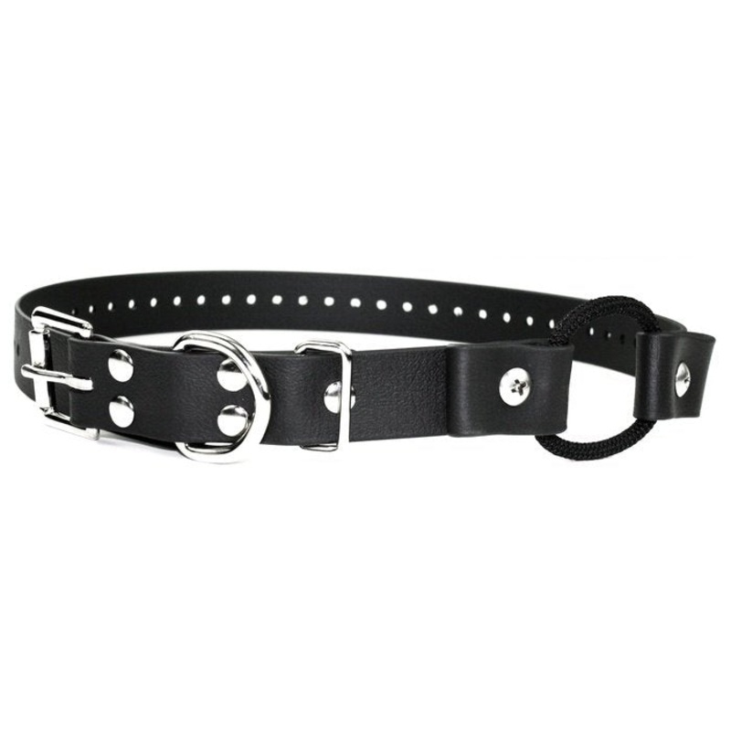 Collier Bungee 3/4'' en Biothane 33'' de long
