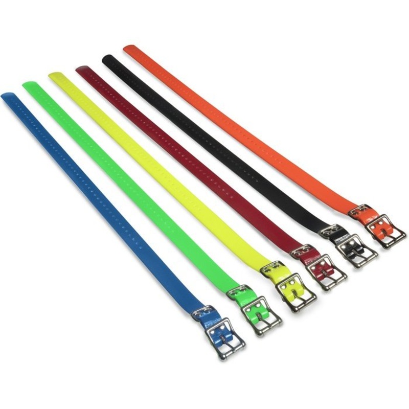 Collier de remplacement SportDOG 1''
