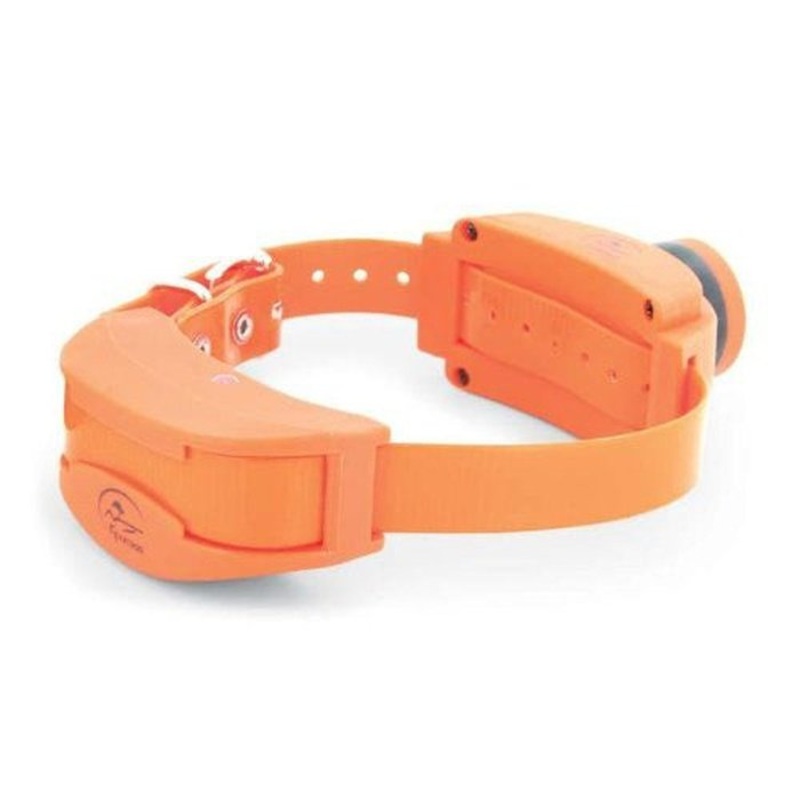 Collier et beeper supplmentaire, SportDOG SDR-AB