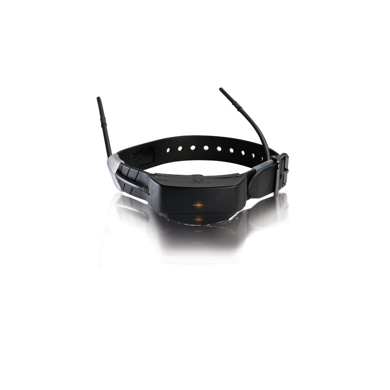 Collier GPS Supplmentaire SportDOG TEK-AD-C, Entrainement et reprage