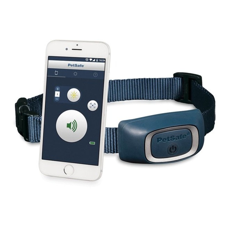 PetSafe Smart Dog, Collier de dressage bluetooth, PDT17-15743