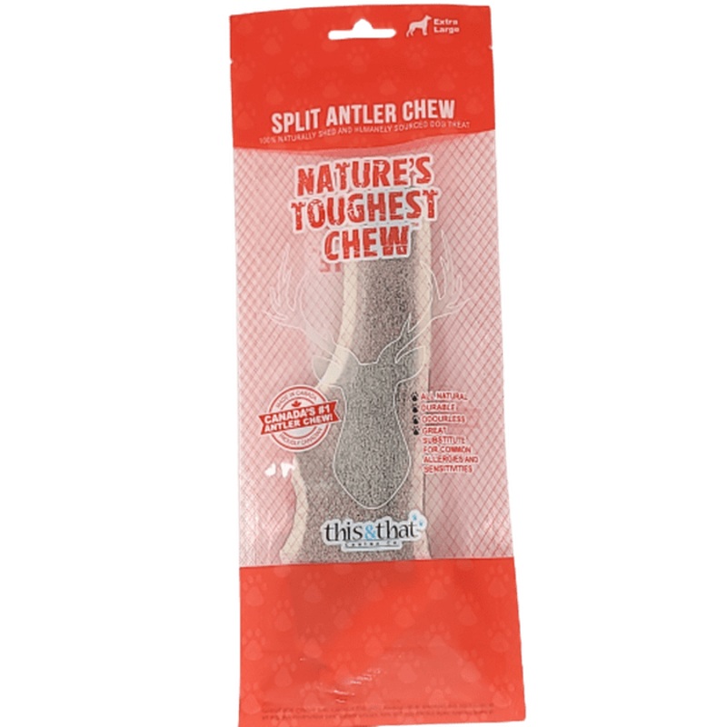Bois de cerf coup