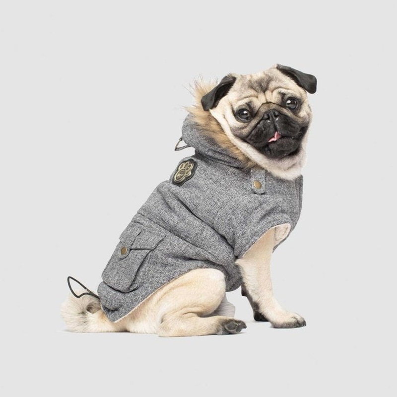 Manteau pour chien Alaskan Army Parka Canada Pooch - Liquidation - Vente finale