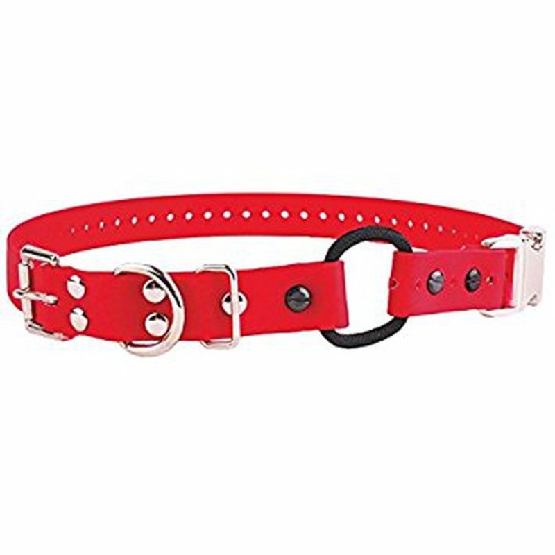 Quick Snap Bungee 3/4'' E-collar Technolgies