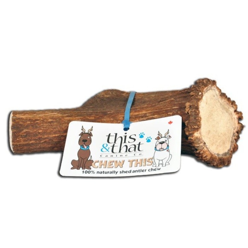 Bois de cerf entier pour chien