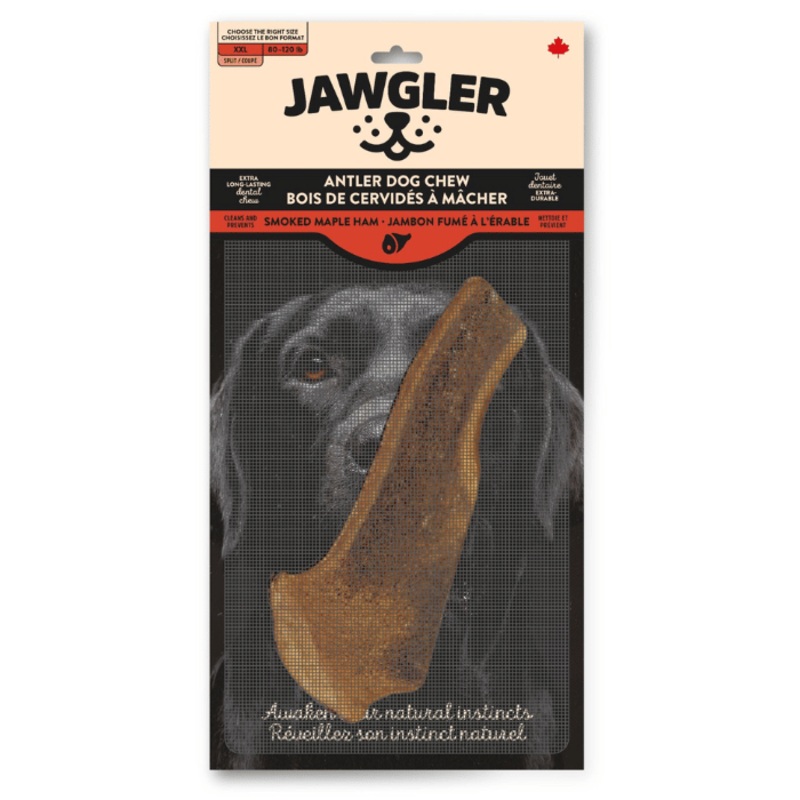 Bois de cervid coup jambon rable Dentler
