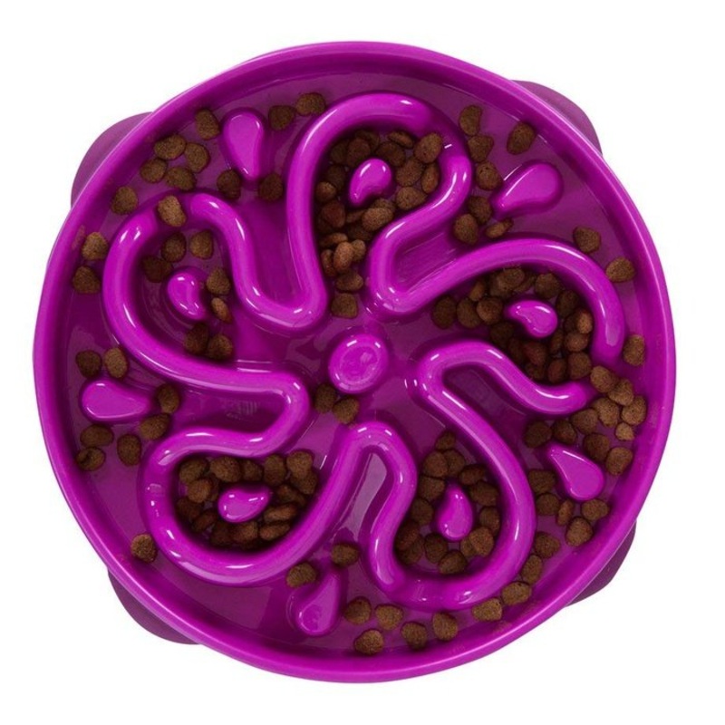 Bol modrateur pour chien Kyjen Fun Feeders Mauve