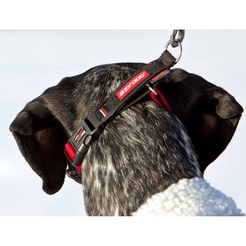 Collier martingale Ezydog checkmate Noir