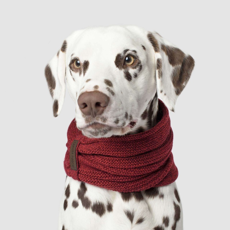 Foulard pour chien