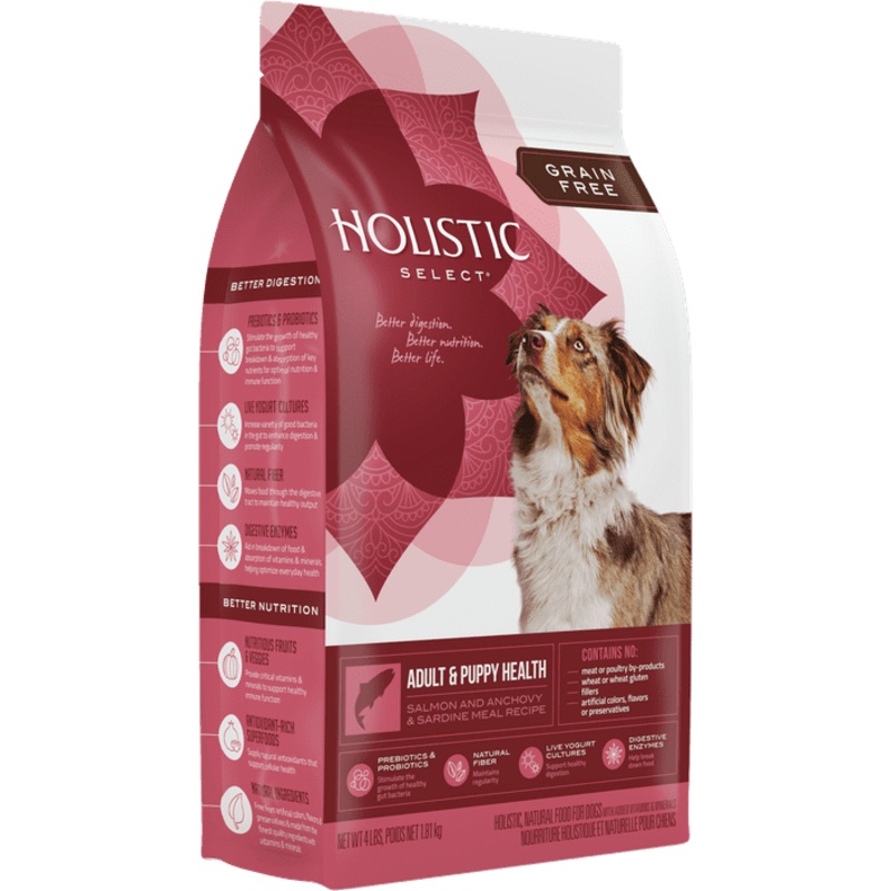 Nourriture pour chien Holistic Select, Saumon Sans Grains