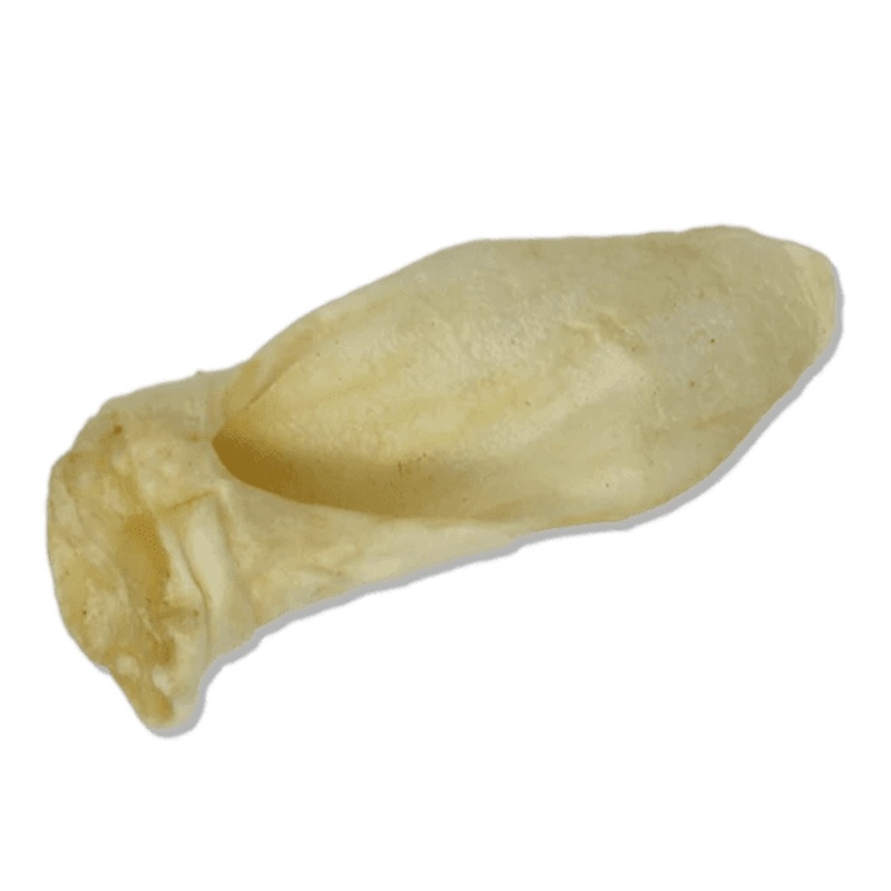 Gteries pour chiens Oreille d'agneau