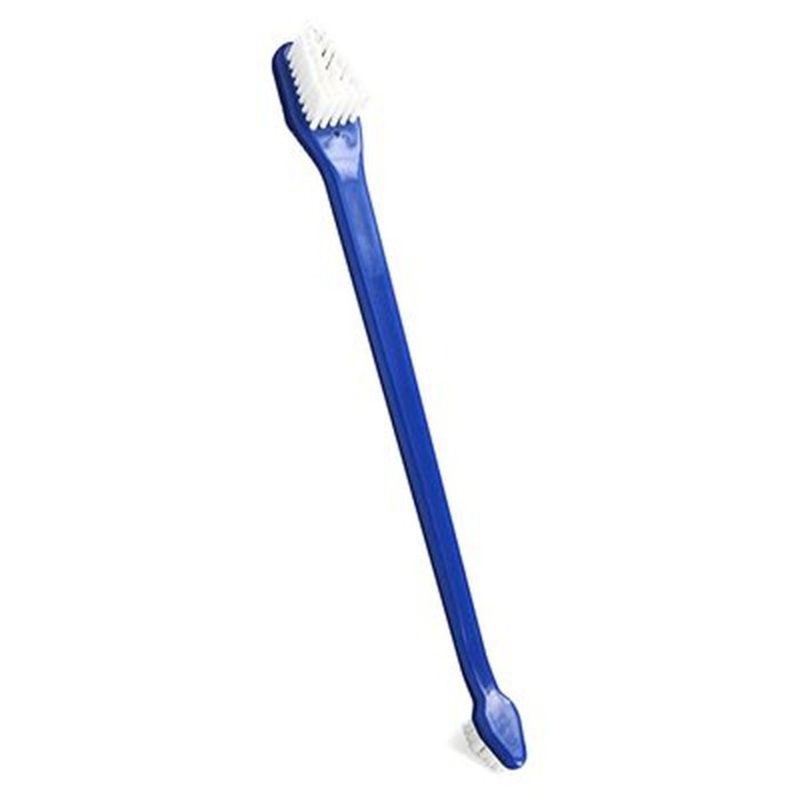 Brosse  dent Bluestem Paquet de 2