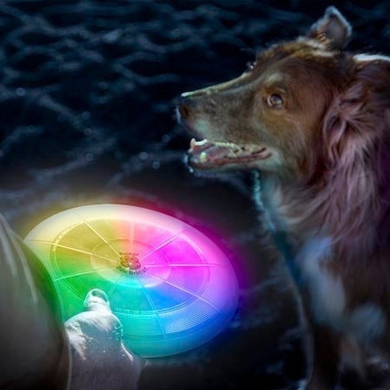 Disque volant DEL pour chien Nite Ize Flashlight Dog Biscuit
