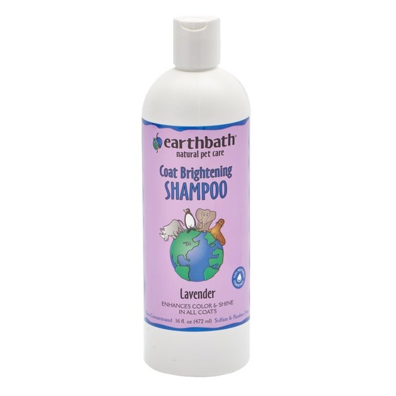 Shampooing Earthbath claircissant pour les poils