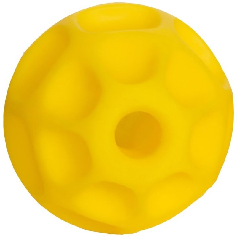 Distributeur de gteries pour chiens Starmark Tetraflex