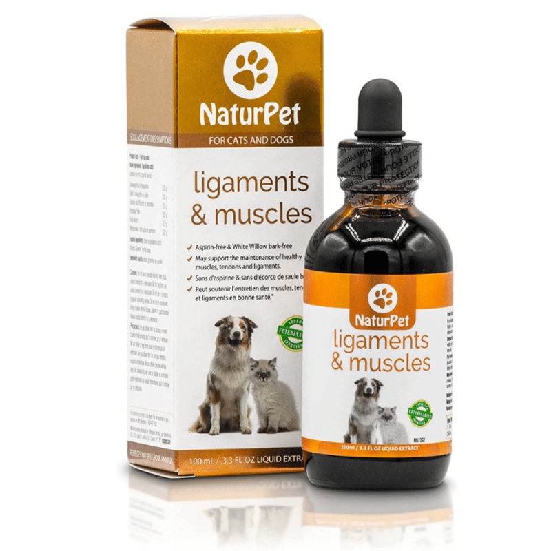 Douleur apaise pour les chiens NaturPet Ouch relief