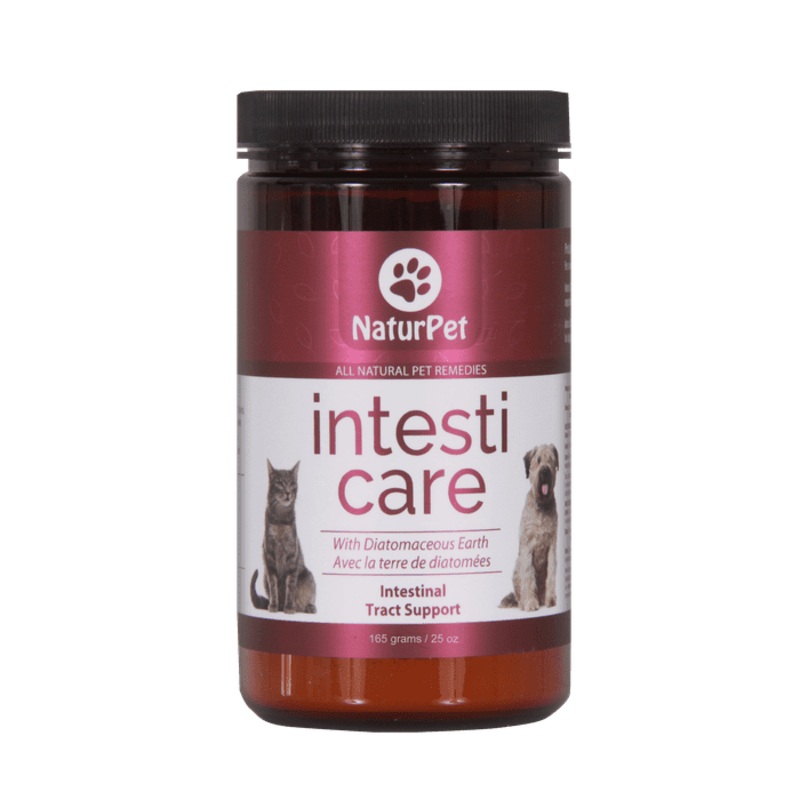 Intesti Care terre diatome