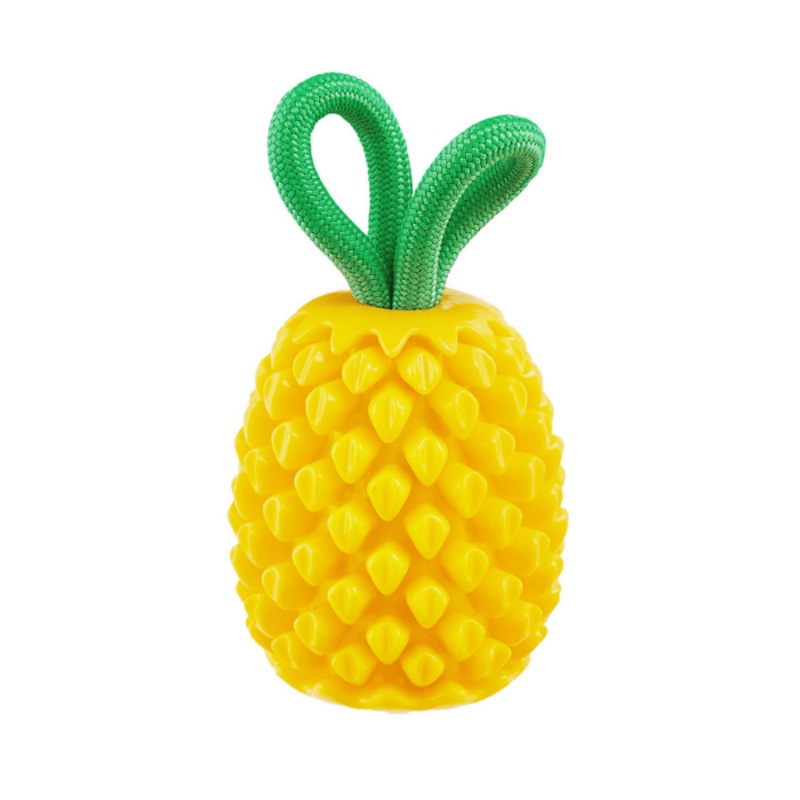 Outward Hound  Ananas distributeur de gteries