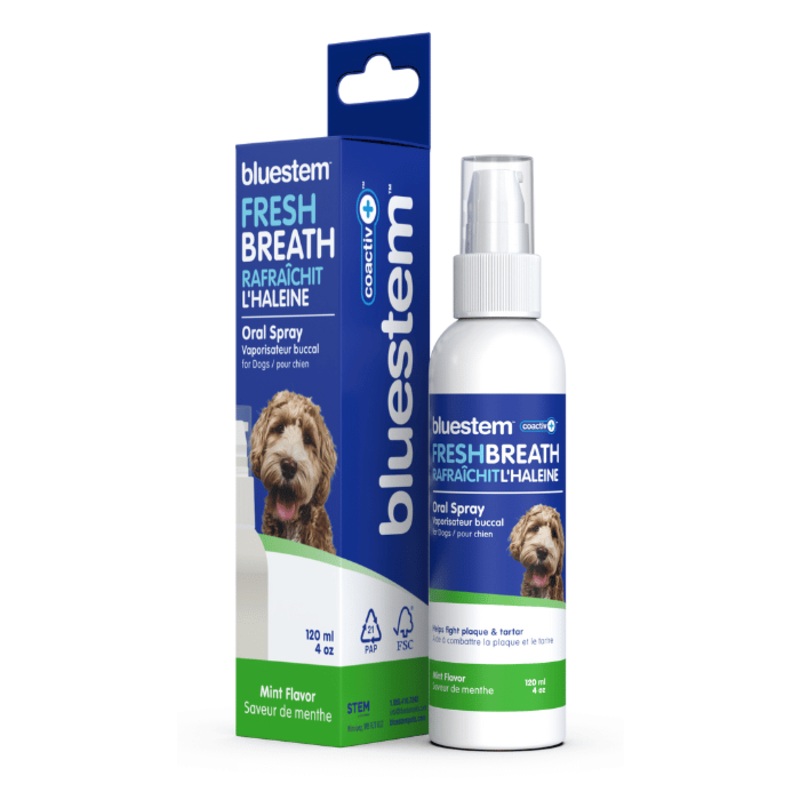 Spray buccal bluestem pour chiens avec coactiv+ saveur vanille menthe 60 ml