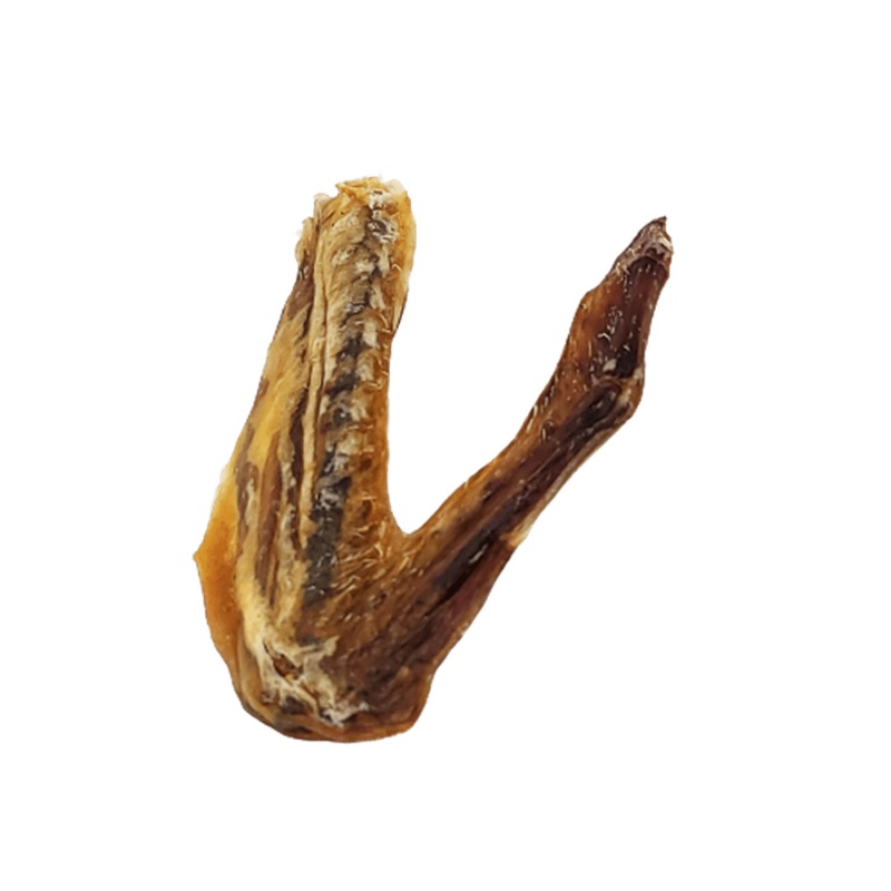 Aile de canard - Produit du Qubec