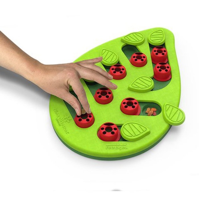 Casse tte pour chat Jouet interactif Nina Ottosson Buggin Out