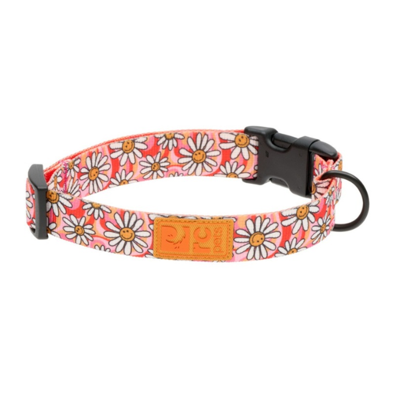 Collier  clip cologique pour chien RcPets Joie de marguerite