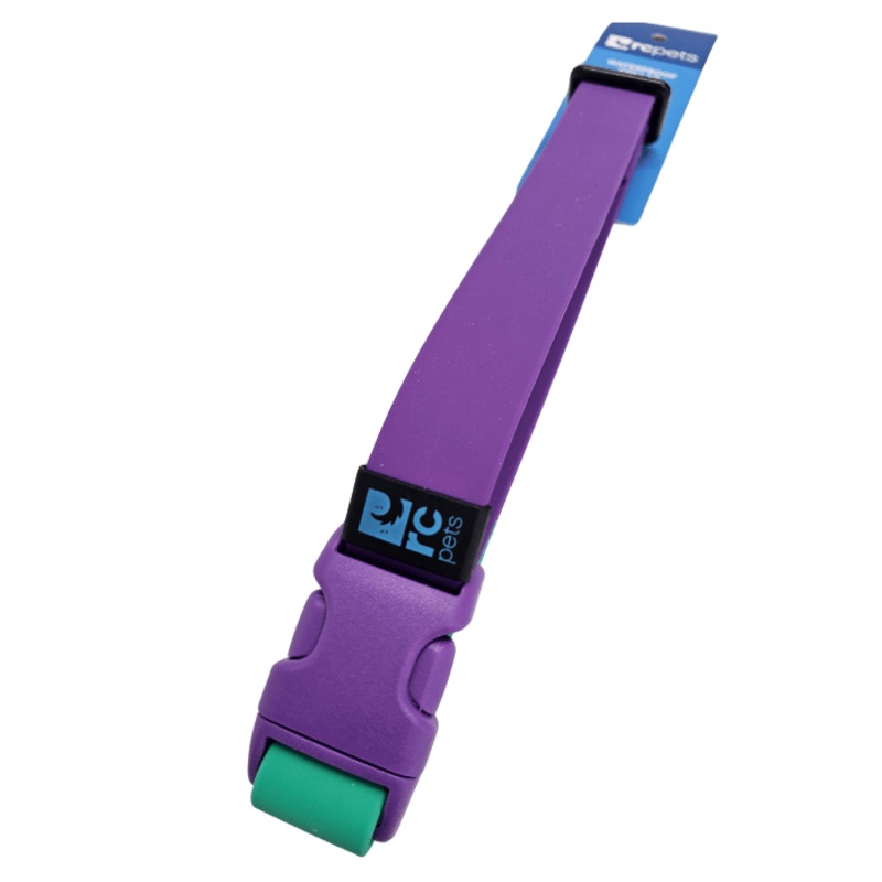 Collier  clip impermable pour chien RcPets Mauve/Perruche